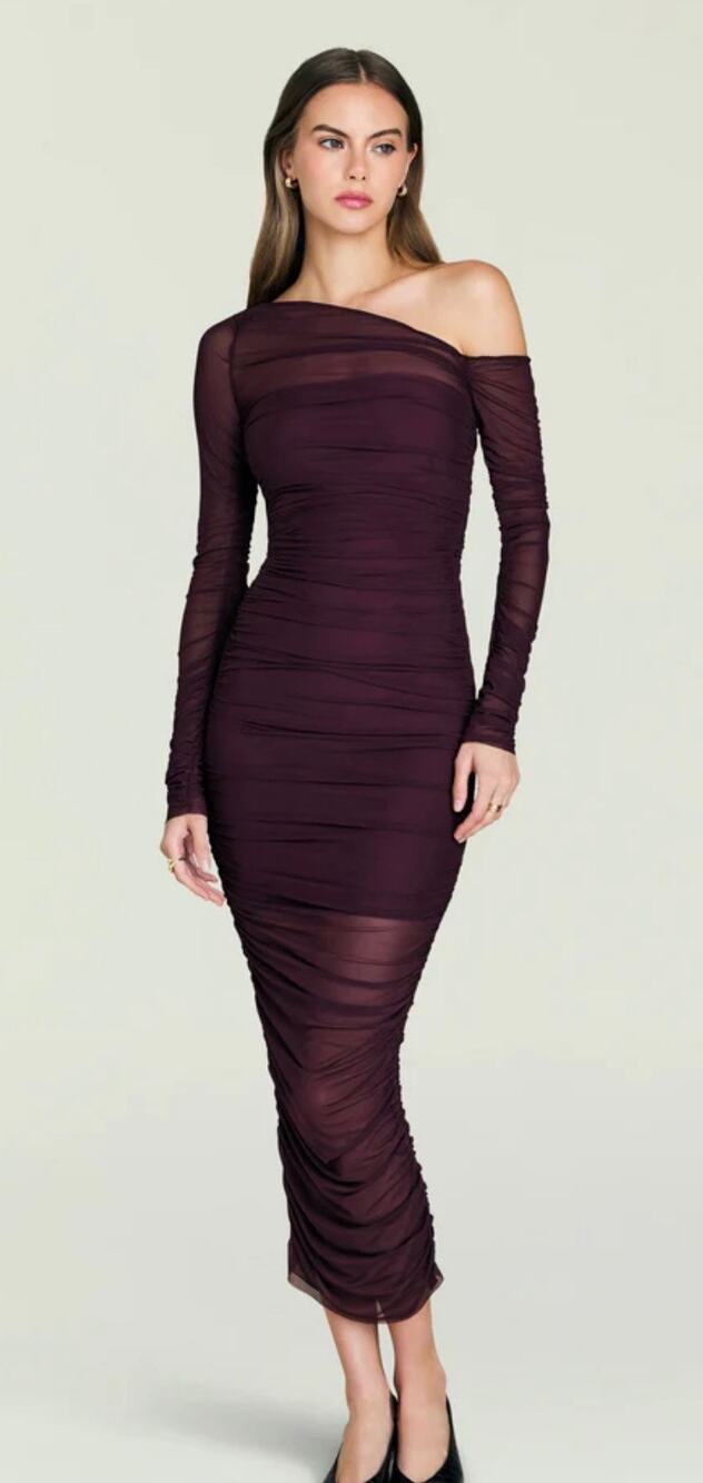 NEW SEROYA Chantae Mesh Dress in Merlot Size Small